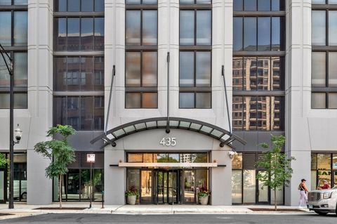 435 W Erie Street 1102 Chicago IL 60654