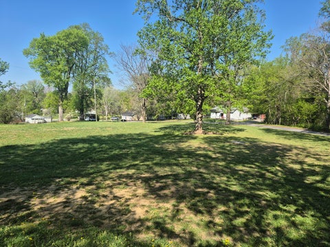 Tiny photo for 1201 Fairview Road, Rosiclare, IL 62982 (MLS # 12614992)