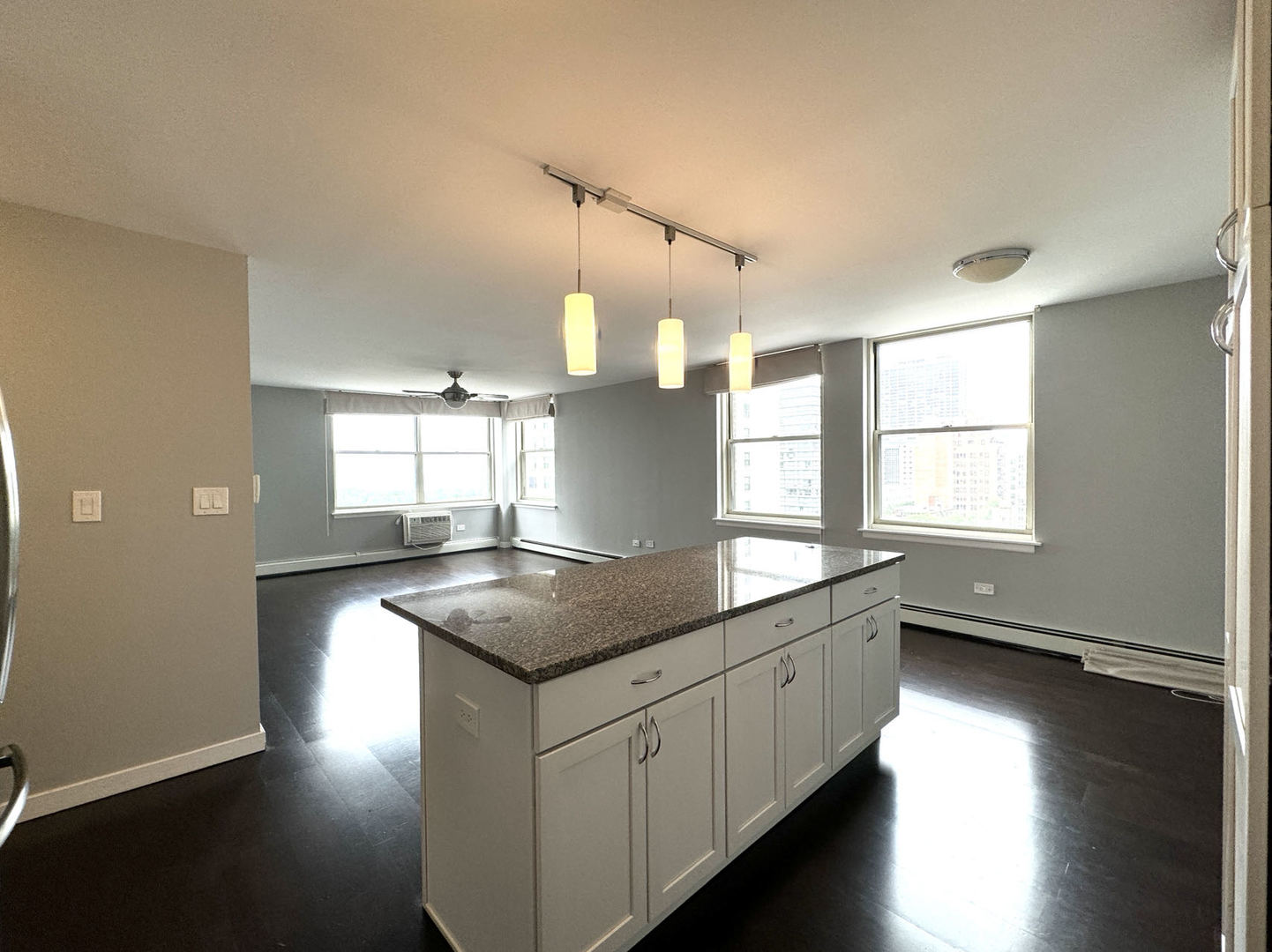 3033 N SHERIDAN Road 1505