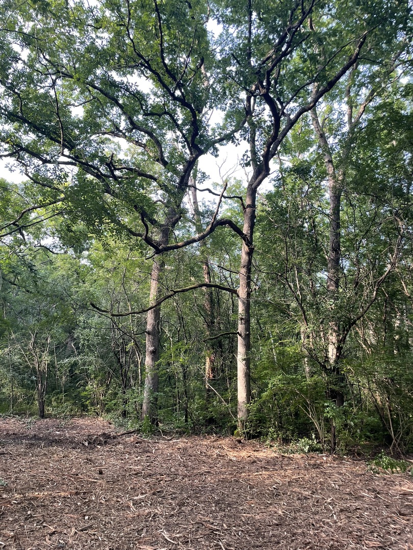 Harvard, Illinois 60033, United States, ,Land,Pending,240040