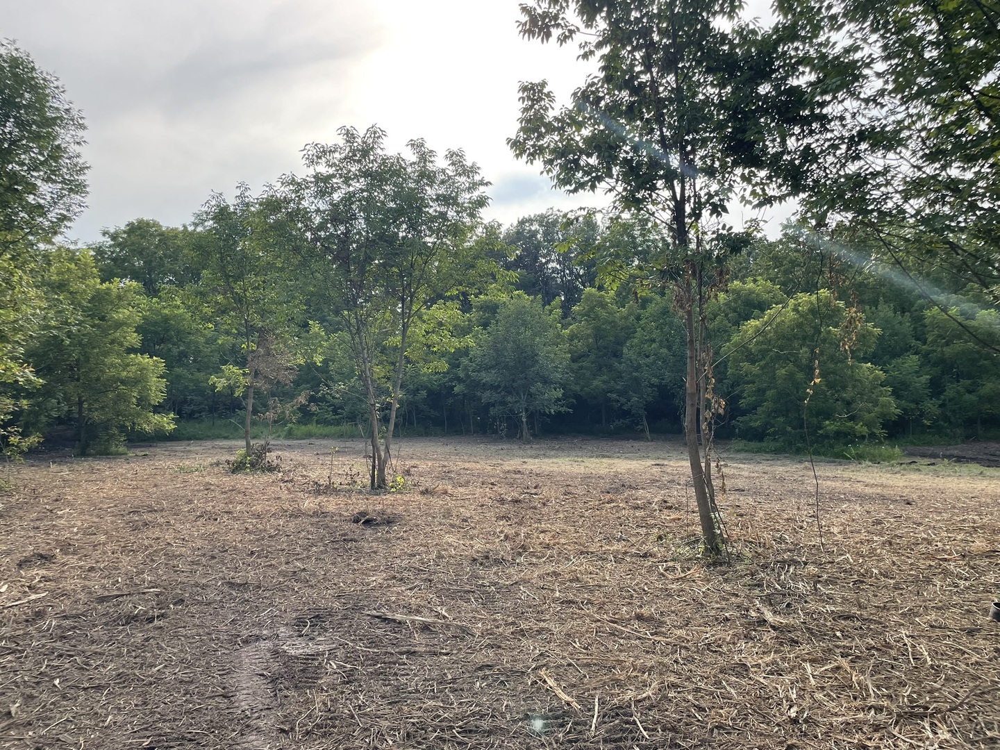 Harvard, Illinois 60033, United States, ,Land,Pending,240040