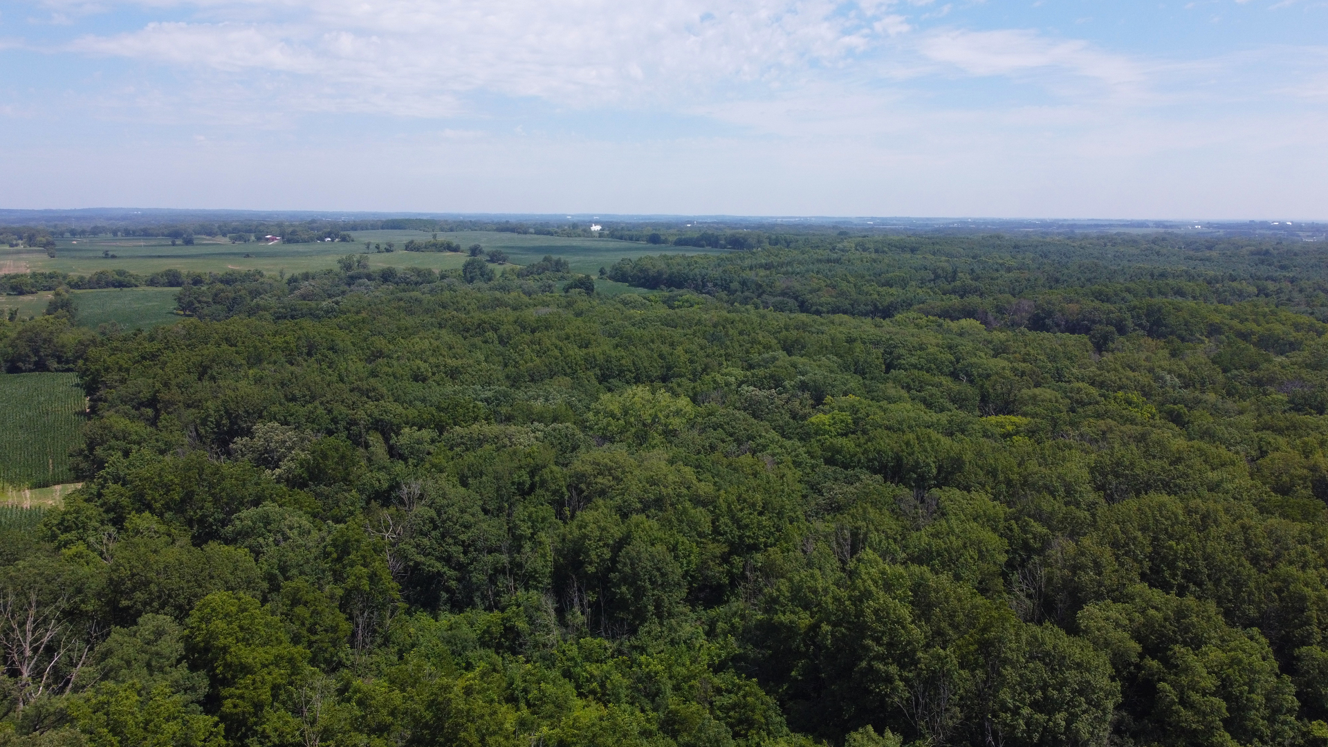 40.75 Acres Route 14