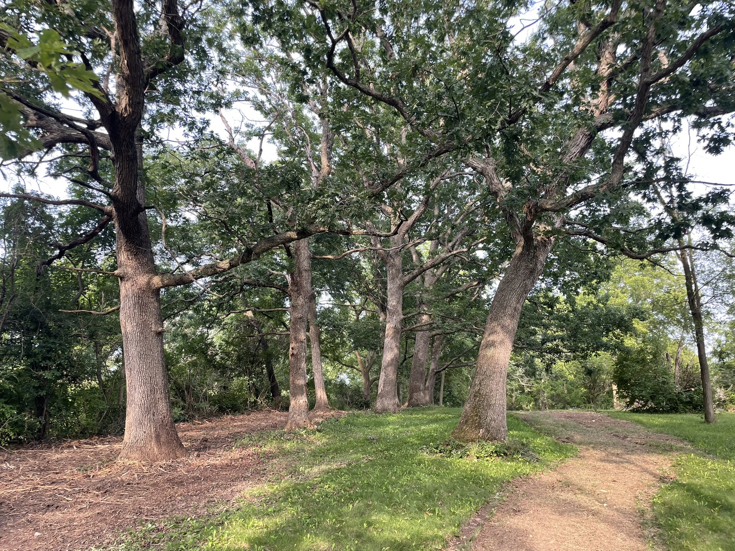 Harvard, Illinois 60033, United States, ,Land,Pending,240040