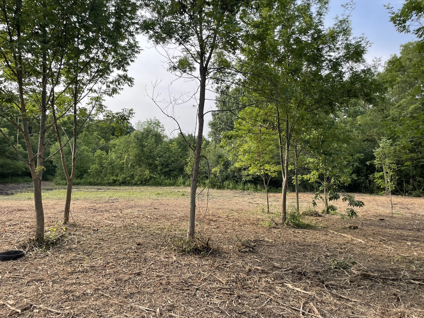 Harvard, Illinois 60033, United States, ,Land,Pending,240040