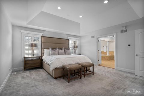 Tiny photo for 539 Eagle Brook Lane, Naperville, IL 60565 (MLS # 12470520)