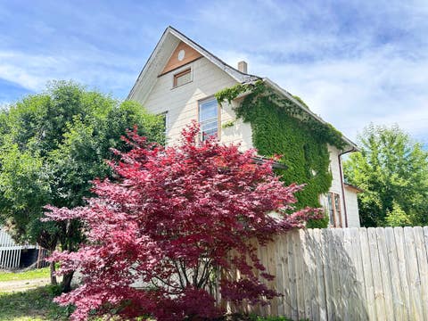 Tiny photo for 14 S 16th Avenue, Maywood, IL 60153 (MLS # 12667618)