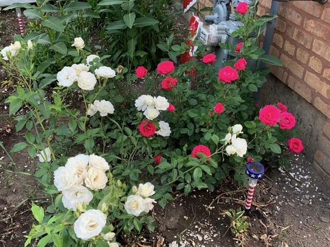 Tiny photo for 1511 Kemman Avenue, La Grange Park, IL 60526 (MLS # 12614906)