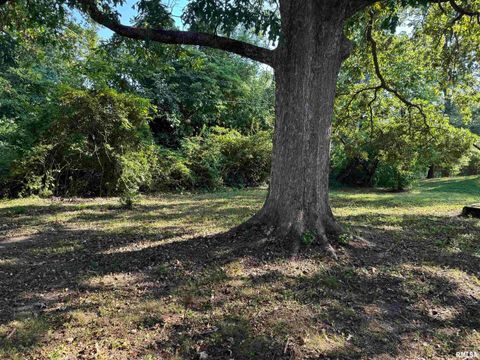 Tiny photo for 8 NORTHBROOK Drive, Mt Vernon, IL 62864 (MLS # EB459352)