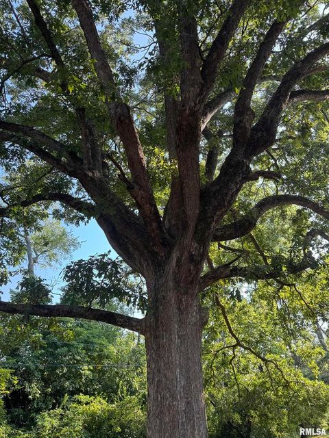 Tiny photo for 8 NORTHBROOK Drive, Mt Vernon, IL 62864 (MLS # EB459352)