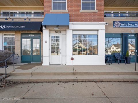 Tiny photo for 17212 Oak Park Avenue #2SE, Tinley Park, IL 60477 (MLS # 12547518)