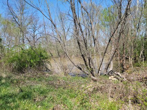 Tiny photo for 5568 Lois Lane, Salem, IL 62881 (MLS # 12611393)