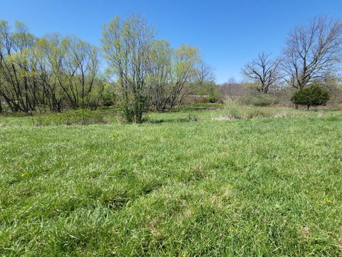 Tiny photo for 5568 Lois Lane, Salem, IL 62881 (MLS # 12611393)