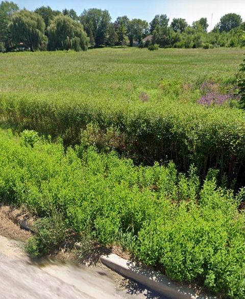 738 Crest Avenue Schaumburg IL 60193