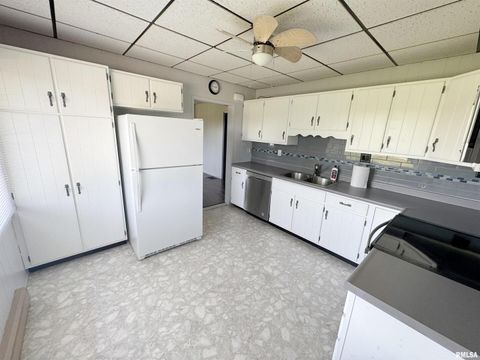 Tiny photo for 16488 Route 37, Johnston City, IL 62951 (MLS # QC4265900)