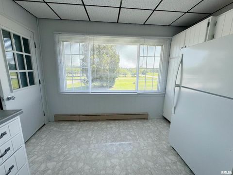 Tiny photo for 16488 Route 37, Johnston City, IL 62951 (MLS # QC4265900)