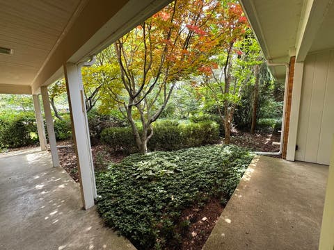 Tiny photo for 1709 S Vine Street, Urbana, IL 61801 (MLS # 12715096)