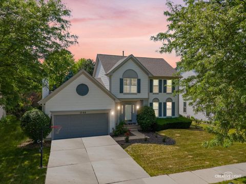 1348 Amaranth Drive Naperville IL 60564