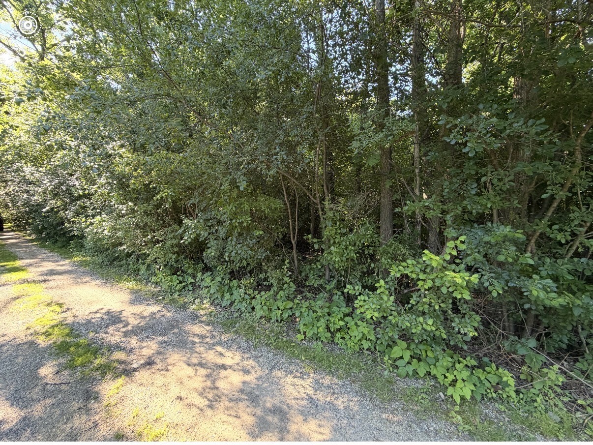 193 Melvin Drive
