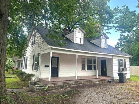 Photo of 604 W Walnut Street, Carbondale, IL 62901 (MLS # EB458581)