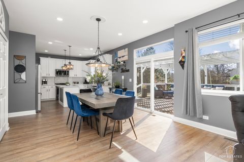 Tiny photo for 25267 Trelliage Avenue, Plainfield, IL 60585 (MLS # 12595132)