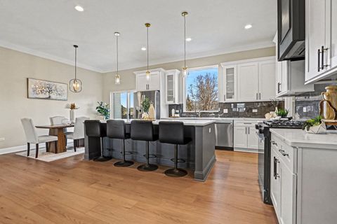 Tiny photo for 762 Greenfield Turn, Yorkville, IL 60560 (MLS # 12572900)