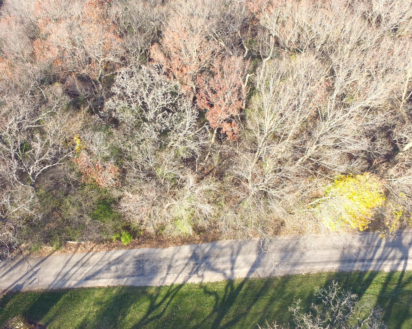 373 N Bateman Circle