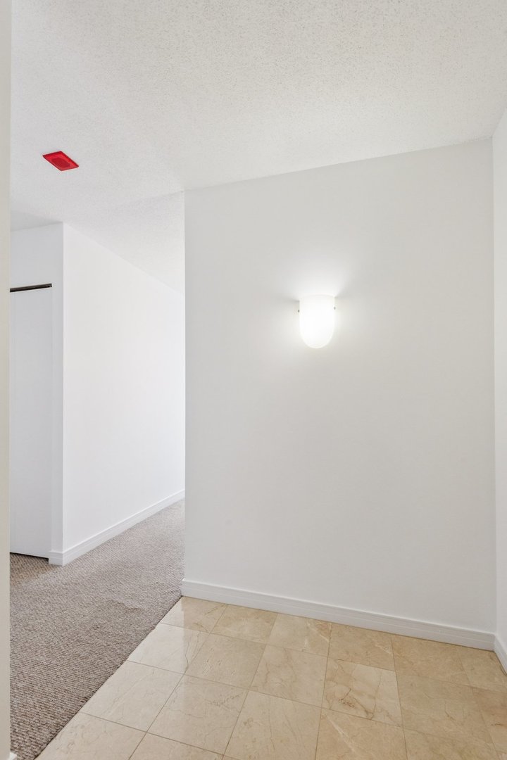 512 N McClurg Court 3409