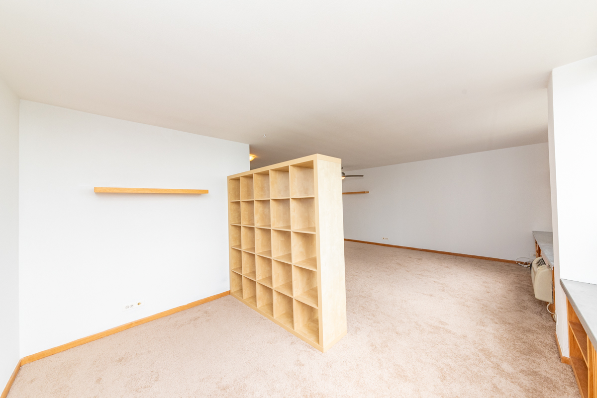 1455 N Sandburg Terrace 1003B
