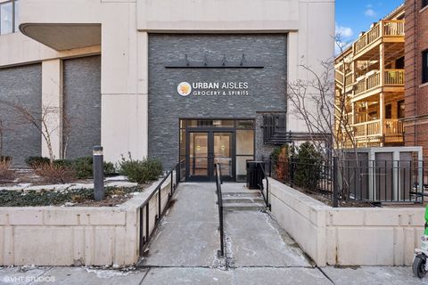 3930 N Pine Grove Avenue C-2 Chicago IL 60613