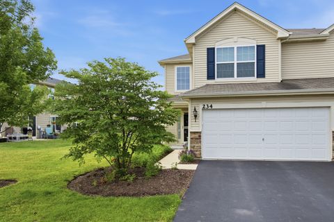 Tiny photo for 234 Wildmeadow Lane, Woodstock, IL 60098 (MLS # 12675601)