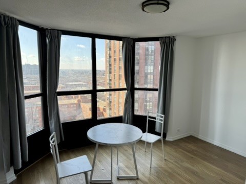 899 S Plymouth Court 1508