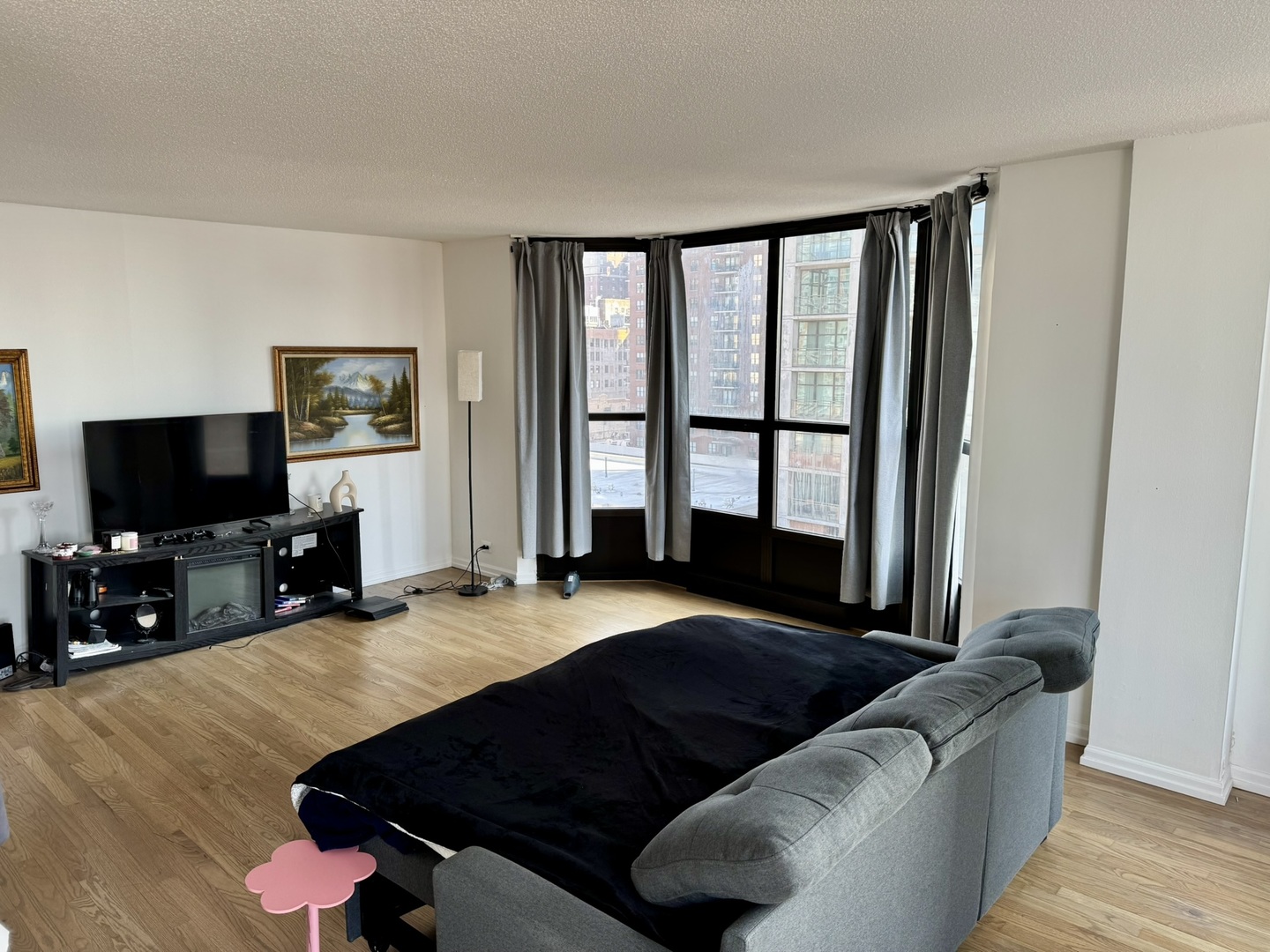 899 S Plymouth Court 1508