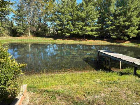 Tiny photo for 12782 N BLACKHAWK Lane, Mt Vernon, IL 62864 (MLS # EB460178)