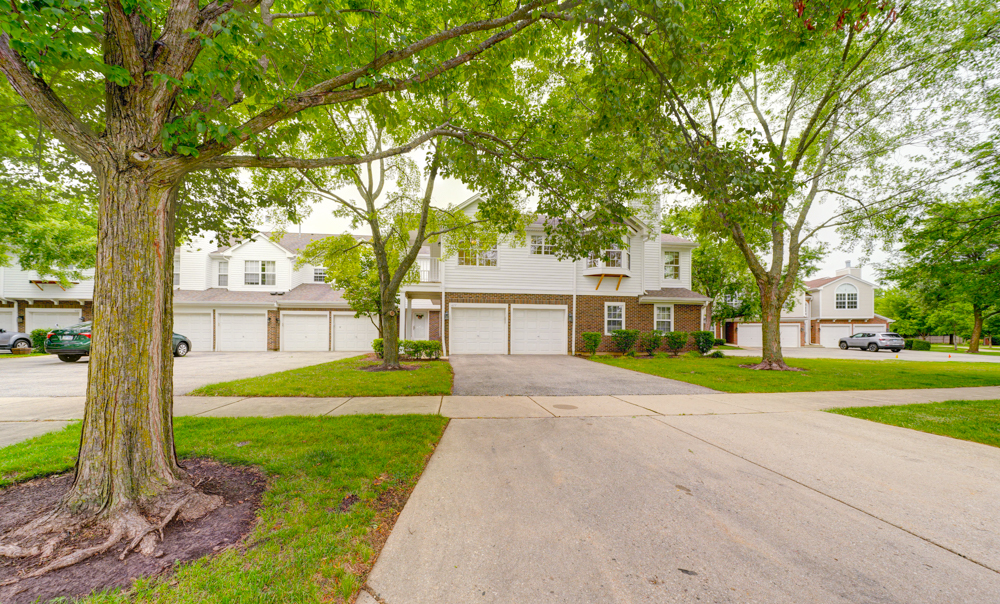 477 grosse pointe Circle 3-6