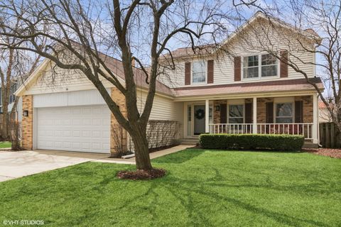 56 E Fabish Drive Buffalo Grove IL 60089