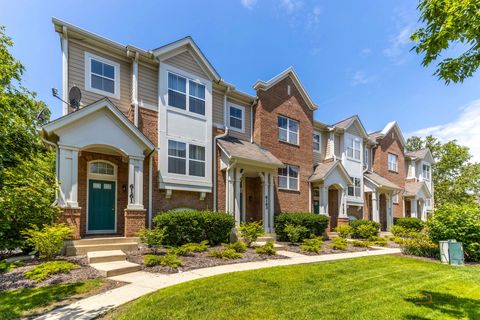 6163 Mayfair Street Morton Grove IL 60053
