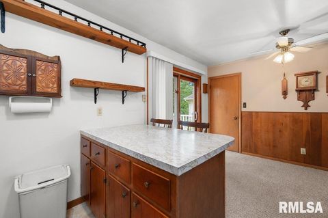 Tiny photo for 513 12TH Avenue, Hampton, IL 61256 (MLS # QC4267577)