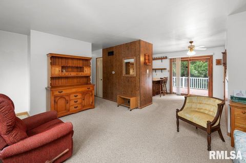 Tiny photo for 513 12TH Avenue, Hampton, IL 61256 (MLS # QC4267577)