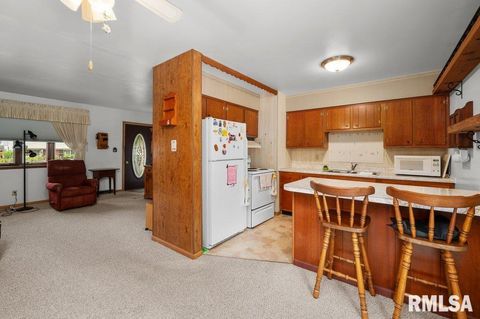 Tiny photo for 513 12TH Avenue, Hampton, IL 61256 (MLS # QC4267577)