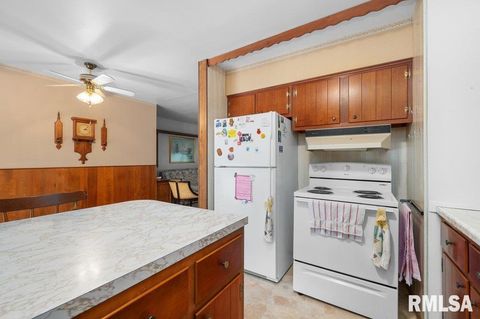 Tiny photo for 513 12TH Avenue, Hampton, IL 61256 (MLS # QC4267577)