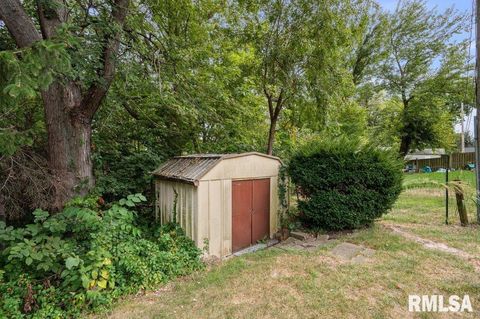 Tiny photo for 513 12TH Avenue, Hampton, IL 61256 (MLS # QC4267577)