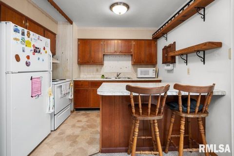 Tiny photo for 513 12TH Avenue, Hampton, IL 61256 (MLS # QC4267577)