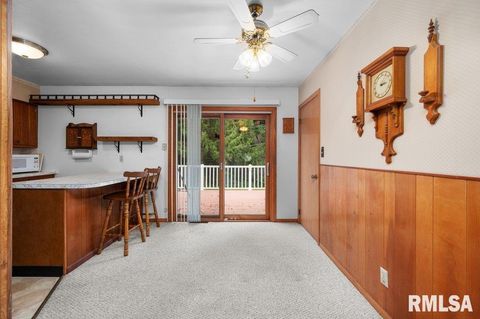 Tiny photo for 513 12TH Avenue, Hampton, IL 61256 (MLS # QC4267577)