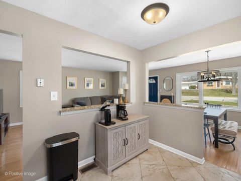 Tiny photo for 319 5th Street, Downers Grove, IL 60515 (MLS # 12598212)