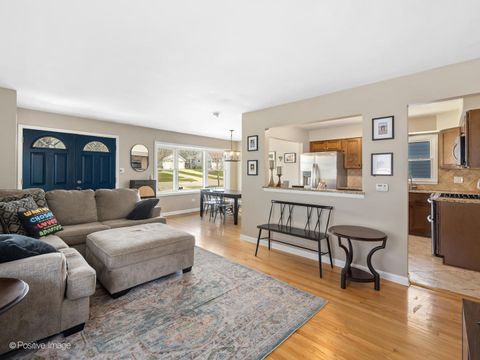 Tiny photo for 319 5th Street, Downers Grove, IL 60515 (MLS # 12598212)