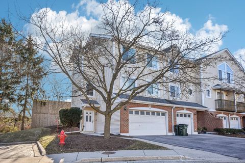 241 E Parallel Street 1A Palatine IL 60067