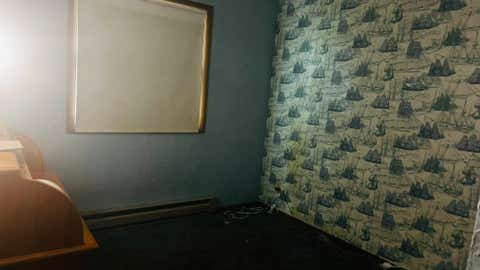 Tiny photo for Coal City, IL 60416 (MLS # 12734989)