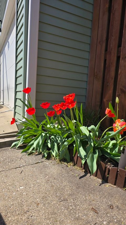 Tiny photo for 3717 Greenleaf Avenue, Island Lake, IL 60042 (MLS # 12706458)