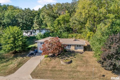 Tiny photo for 740 MISSISSIPPI Boulevard, Bettendorf, IA 52722 (MLS # QC4268739)