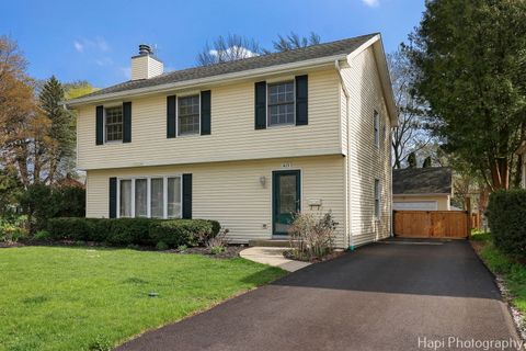 415 E Park Street Mundelein IL 60060